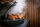 Hickory Holz Chips