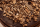 Hickory Holz Chips
