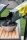 Holzkohle naturbelassen - Eiche & Hickory - 8 kg