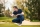 Poloshirt blau - Herren